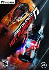 NFS (13)